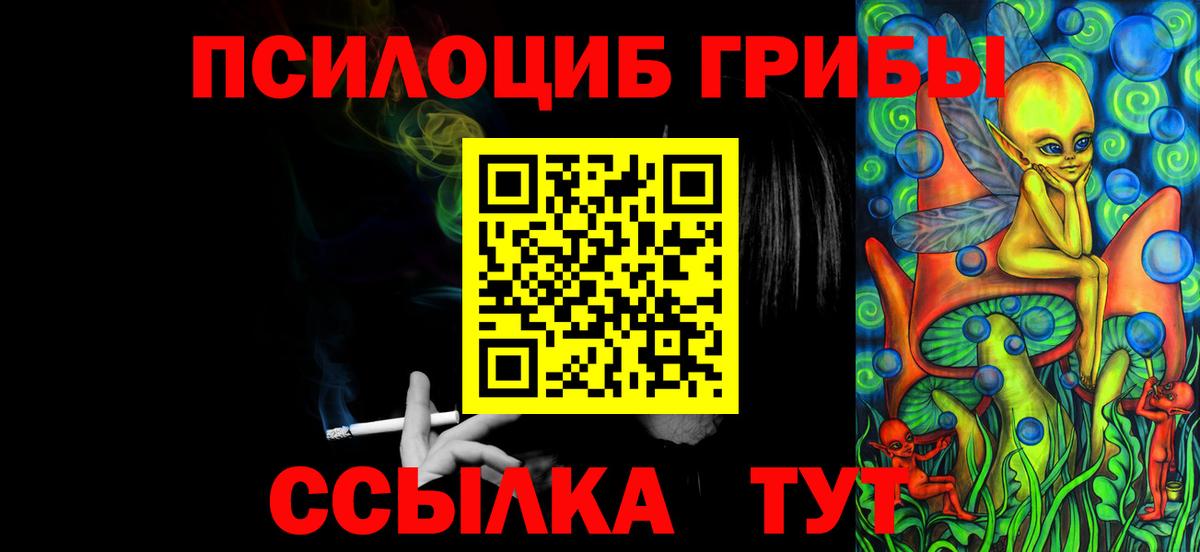 Галлюциногенные грибы мицелий  Псилоцибиновые грибы мухоморы  где продают   Хасавюрт  Вход с VPN 